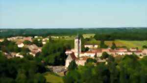 photo Maquettes médiévales et visite