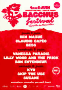 photo FESTIVAL BACCHUS