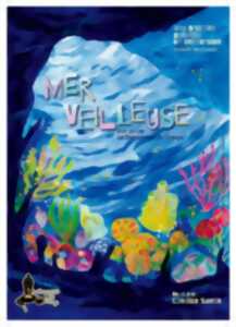photo MER VEILLEUSE