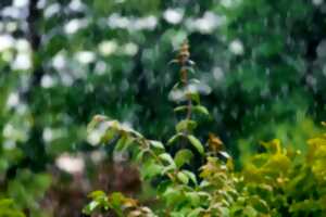 photo Castrum de Ségur : Cultiver la pluie