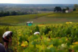 Visite de La Belle Parcelle