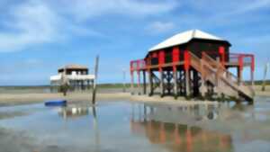 Sorties sur l'eau au départ du port de la Hume