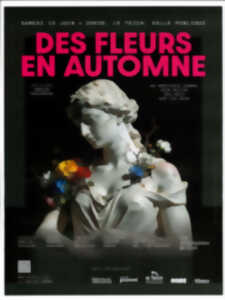 photo Les fleurs en automne.
