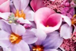 photo Visite libre : La folle histoire des fleurs