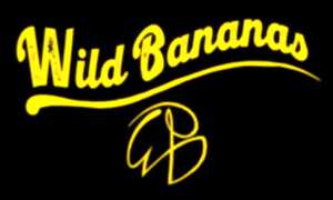 photo Concert Wild Bananas