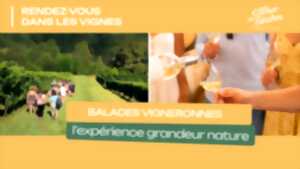 photo Balade vigneronne : Domaine Bordenave