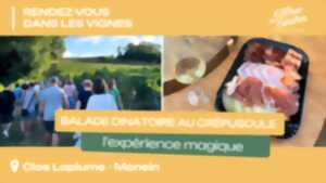 photo Balade dinatoire au crépuscule