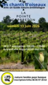 photo Visite thématique guidée et dégustation vins