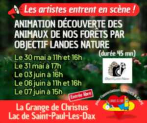 photo Les animaux de la forêt
