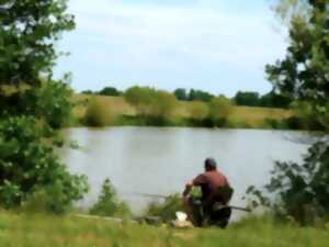 Concours de pêche au coup