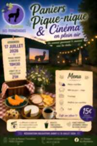 photo Paniers Pique-Nique et Cinéma