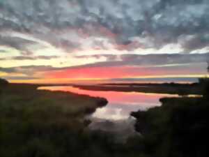 photo Domaine de Certes et Graveyron : Un soir sur les domaines