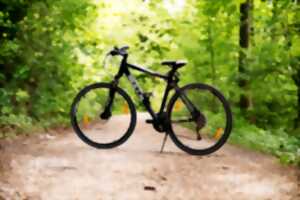 photo Après midi vélo