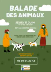 photo Balade des animaux