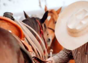 photo Western Roots Festival