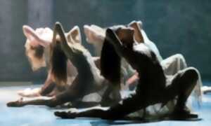 photo Spectacle de danse - Les pas du temps