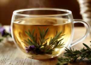 photo Atelier tisane