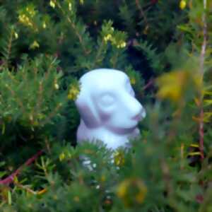 photo Mes premiers pas au musée - Mon merveilleux jardin de porcelaine