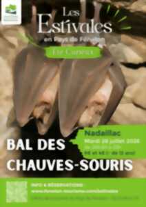 photo ETE CURIEUX : Bal des Chauves-souris à Nadaillac
