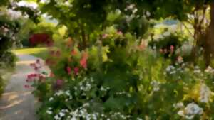 photo Le Jardin de Sylvie et Roland pour les Estivales du Beau Jardin