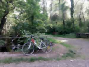 photo Balade à vélo entre Ried et Rhin