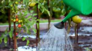 photo Atelier eau jardin