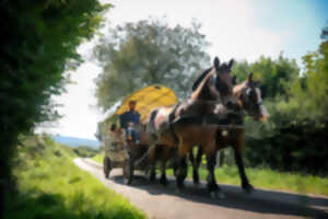 photo Balade en calèche au coeur du bocage