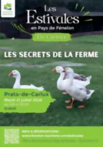 photo ETE CURIEUX : Les secrets de la ferme à Prats-de-Carlux