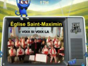 photo Concert Voix si Voix la