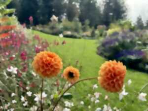Déambulation dans un jardin extraordinaire