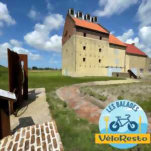 photo Balade VéloRestos - Une douce odeur de chicorée