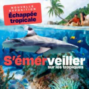 photo Exposition : Echappée Tropicale