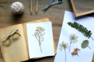 photo Exposition : herbier à panser