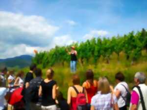 photo De la vigne au verre - secret du vin d'Alsace