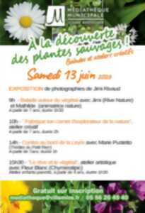 photo À la découverte des plantes sauvages