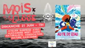 photo Mois de la Glisse :  Projection du programme de courts métrages d'animation 