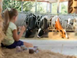 photo Ferme Saint Ulrich : du réveil des vaches au petit-déjeuner