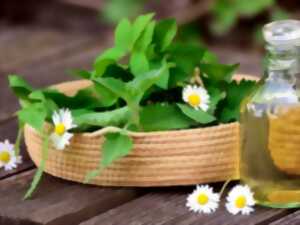 photo Atelier aromathérapie : l'art de l'équilibre entre corps et esprit