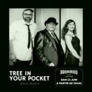 photo Prohibido Biarritz Jazz Club - Tree In Your Pocket