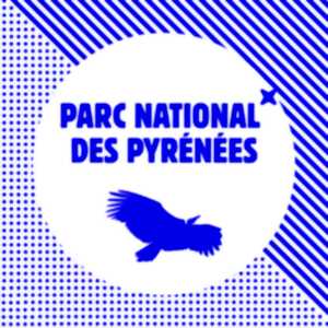 photo Nuit internationale de la chauve souris