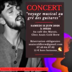 photo Concert au Gré des Guitares