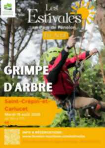 photo ÉTÉ ACTIF : Grimpe d'arbre à Saint-Crepin-Carlucet