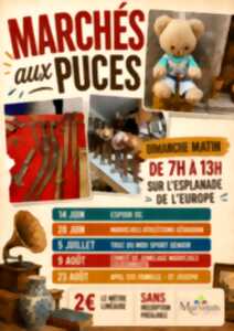 photo PUCES MARVEJOLS