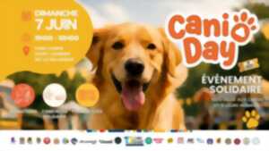 photo DOG DAY