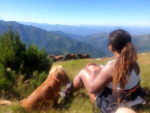 photo EXCURSION VERS LE CANIGO EN 4X4 AVEC PASSCANIGO