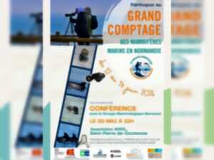 photo Grand comptage des mammifères marins de Normandie