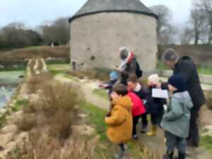 photo Atelier nature (6-12 ans) : autour de la mare