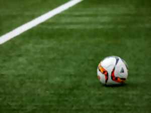 photo Retransmission de la finale de la Coupe du Monde de football sur écran géant