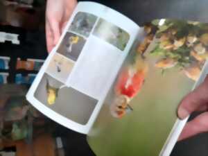 photo Atelier-nature (6-12 ans) : à la découverte des oiseaux