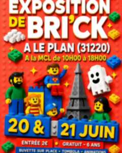 photo EXPOSITION DE BRI'CK